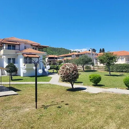 5 αγιάς *