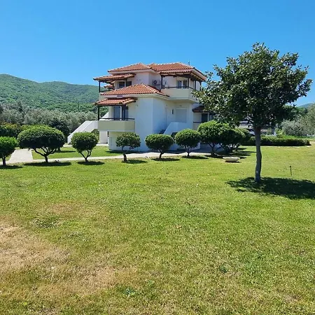 5 αγιάς